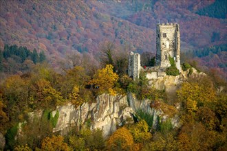 Drachenfels castle ruins in autumn