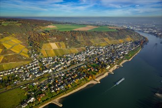 Leutesdorf am Rhein with vineyards in autumn
