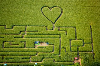 Labyrinth with a heart in the cornfield