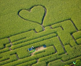 Labyrinth with a heart in the cornfield