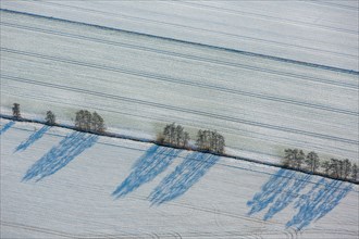 Fields with snow