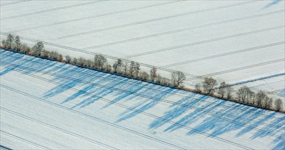 Fields with snow