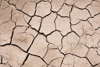 Dry cracks in the ground