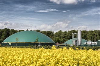 Biogas plant in flowering rapeseed field