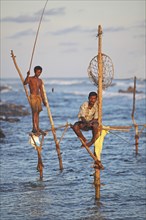Stilt fishing in the evening sun