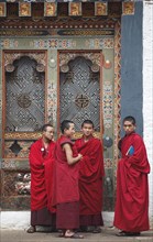 Monks in front of the Punakha Dzong