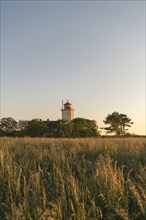 Lighthouse Westermarkelsdorf