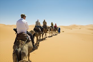 Tourists on camels in desert