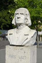 Bust of composer Franz Liszt