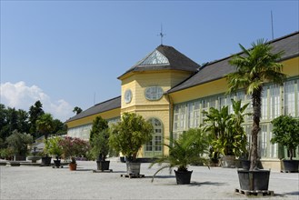 Orangery in palace gardens