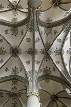 Arched ceiling