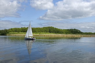 Fleesensee