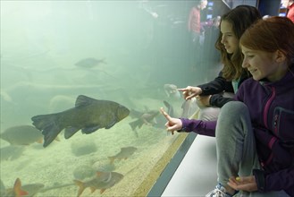 Girls in front of an aquarium with fish in Muritzeum
