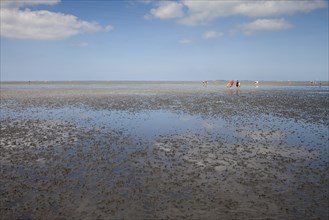 Walkers in the mudflats