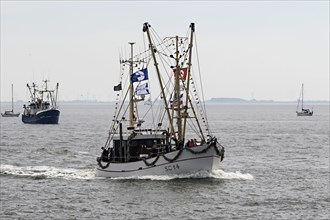 Festively decorated shrimp boats