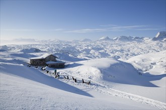 Husky camp on the Dachstein in winter