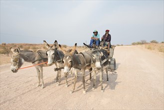 Donkey carts on a dirt road