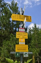 Trail sign post in Ropojana valley