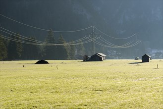 An electricity line is crossing a grean meadow with some wooden huts in the morning light