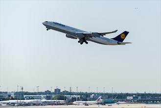 The Airbus A340-300 Dinslaken of the airline Lufthansa is taking off at Frankfurt International Airport