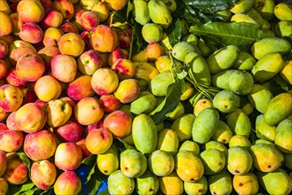 Fresh mangoes and peaches are arranged for sale in the fruit market