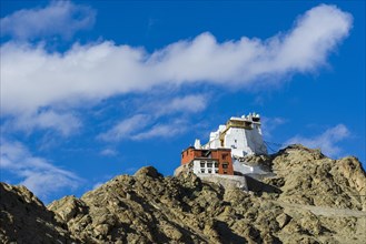 The monastery Namgyal Tsemo Gompa and Tsemo Fort on a mountain ridge