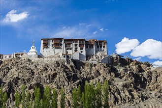 Stakna Gompa on a hill above the Indus Valley and surrounded by green trees