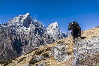 View of the mountains Cholatse and Tabuche Peak