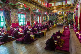 Many monks and nuns are praying inside the monastery Thupten Chholing Gompa