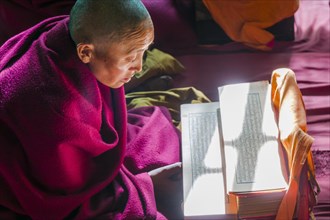A monk is reading a prayer book inside the monastery Thupten Chholing Gompa