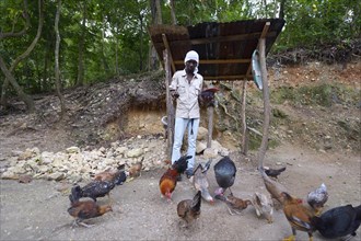Man feeding his chickens