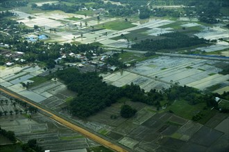 Flooded rice paddies in the rainy season