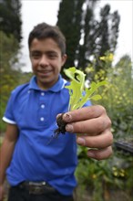 Teenager with seedling