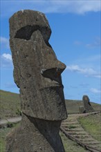 Moai in Rano Raraku