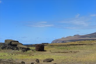 Moai Paro