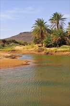 Waterhole in a Wadi or Oued