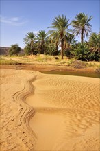 Waterhole in a Wadi or Oued