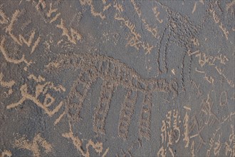 Stone Age petroglyphs and new graffiti in Arabic script