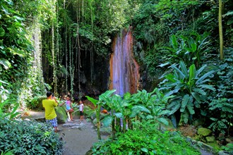 Diamond Waterfall in the Botanical Garden with tropical vegetation