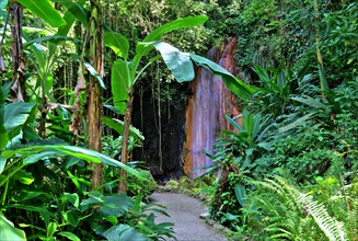 Diamond Waterfall in the Botanical Garden with tropical vegetation
