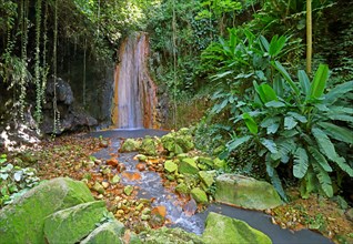 Diamond Waterfall in the Botanical Garden with tropical vegetation