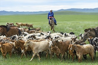 Mongolian nomad on horse