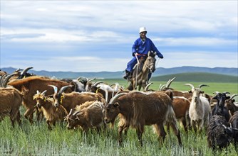 Mongolian nomad on horse