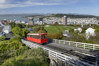 Wellington Cable Car on railway track