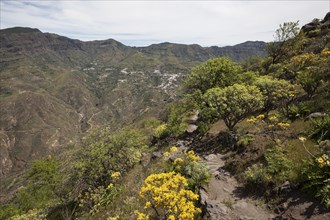 View from Roque Bentayga towards Tejeda