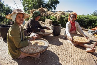 Local women from the tribe of the Pao sorting maize grains