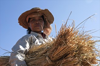Local woman from the tribe of the Poa with a bundle of rice straw