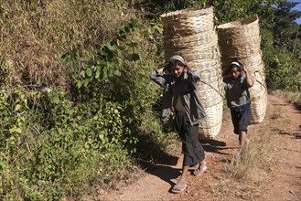 Young Palaung tribesmen carrying baskets in Kalaw