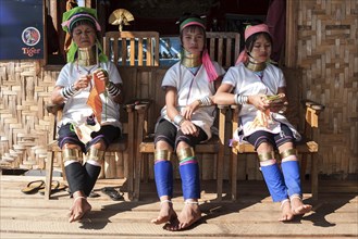 Women of the ethnic group of the Padaung with necklaces and traditional dress