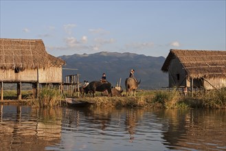 Traditional stilt houses on the Inle Lake